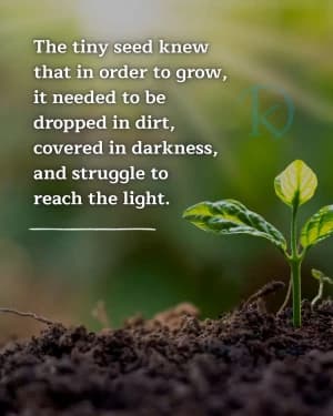 The tiny seed knew that in order to grow, it needed to be dropped in dirt, covered in darkness, and struggle to reach the light.