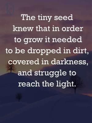 The tiny seed knew that in order to grow, it needed to be dropped in dirt covered in darkness and struggle to reach the light.