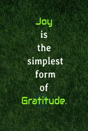 Joy is the simplest form of gratitude.