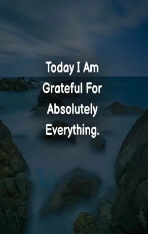 Today I am grateful for absolutely everything.