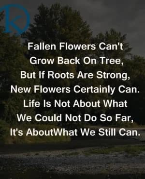 Fallen flowers can't grow back on tree, but if roots are strong, new flowers certainly can. Life is not about what we could not do so far, it's about what we still can.