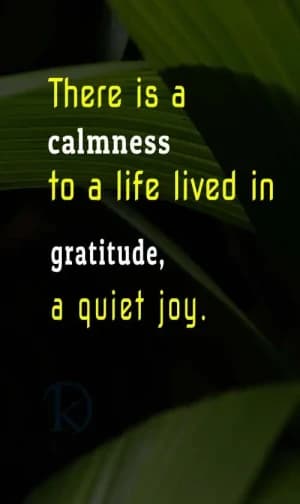 There is a calmness to a life lived in gratitude, a quiet joy.