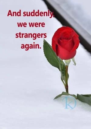 And suddenly we were strangers again.