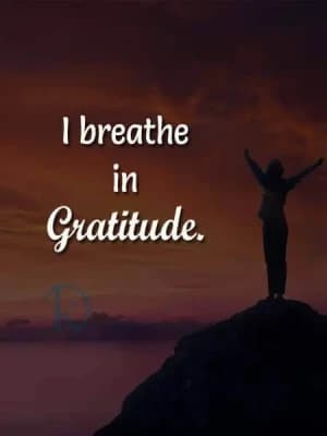I breathe in Gratitude.