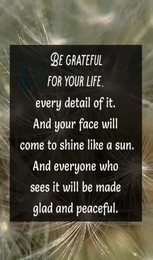 Be grateful for your life, every detail of it. And your face will come to shine like the sun. And everyone who sees it will be made glad and peaceful.