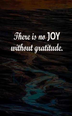 There is no joy without gratitude.