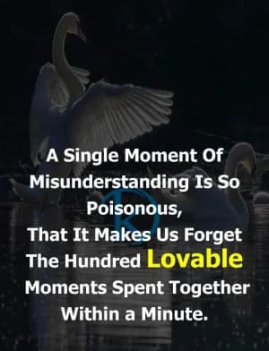 A single moment of misunderstanding is so poisonous that it makes us forget the hundred lovable moments spent together within a minute.