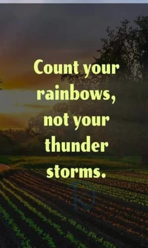 Count your rainbows, not your thunderstorms.