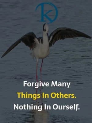 Forgive many things in others. Nothing in ourselves.