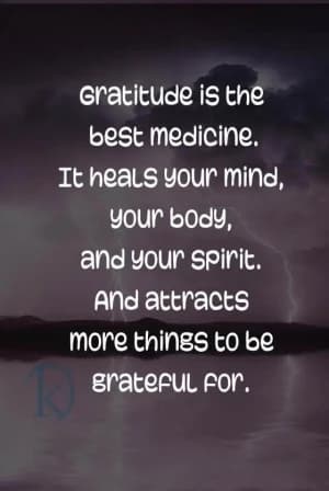 Gratitude is the best medicine. It heals your mind, your body, and your spirit. And attracts more things to be grateful for.