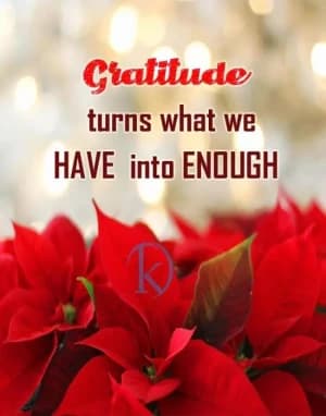 Gratitude turns what we have into enough.