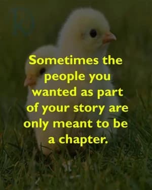 Sometimes the people you wanted as part of your story are only meant to be a chapter.