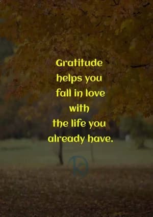 Gratitude helps you fall in love with the life you already have.