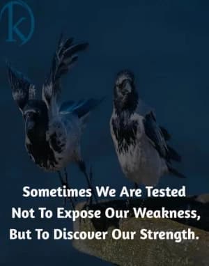 Sometimes we are tested not to expose our weaknesses but to discover our strengths.