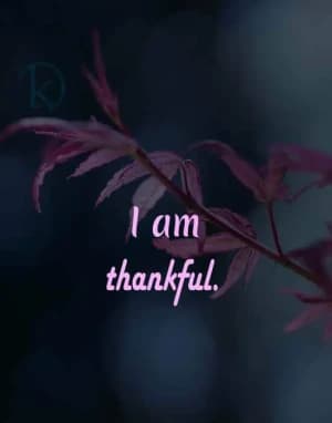 I am thankful.